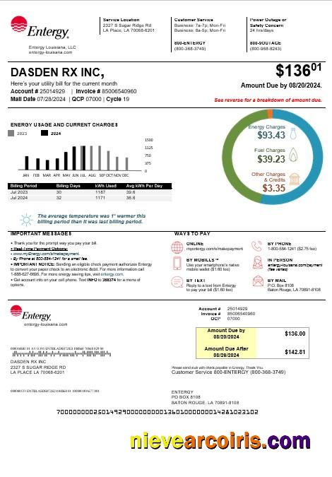 USA Louisiana Entergy business utility bill, version 2
